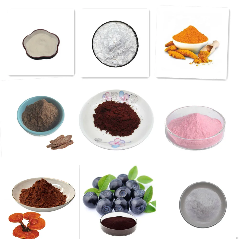 Poudre de colorant Indigo biol - Indigo Dye Kit avis et prix